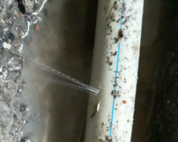 齐河卫生间测漏水多少钱