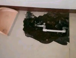 齐河卫生间测漏水多少钱